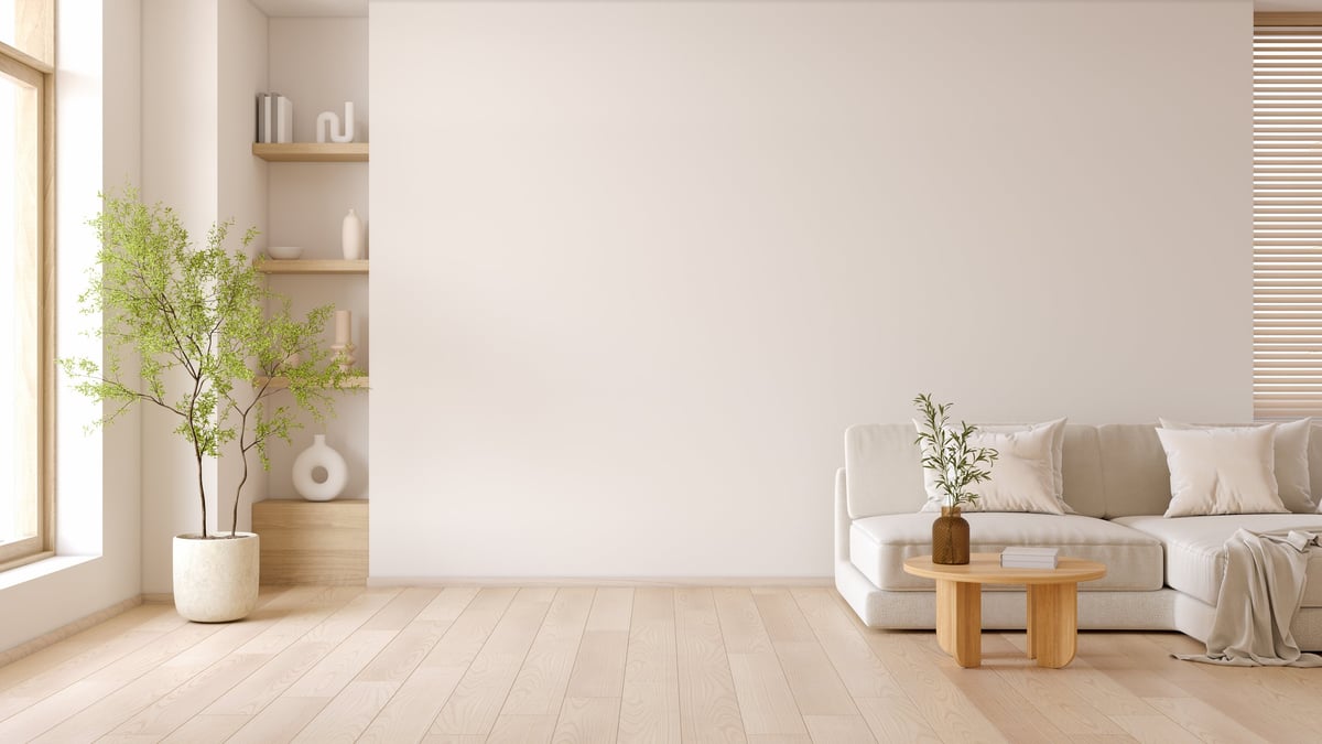 Minimal living room freshly cleaned and tidied